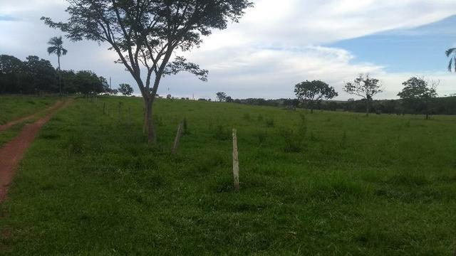 Chácara em Cristianópolis - Foto 3