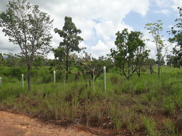 Chacaras de Recreio Condominio Mirela