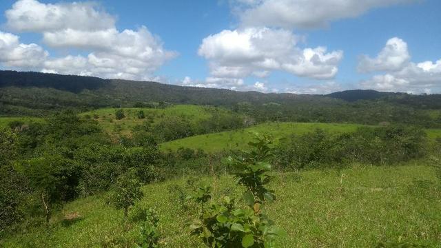 Fazenda Cristianópolis - Foto 3