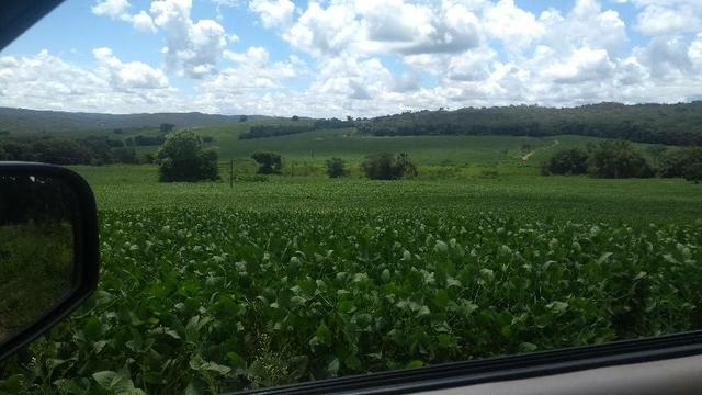 Fazenda Cristianópolis - Foto 5