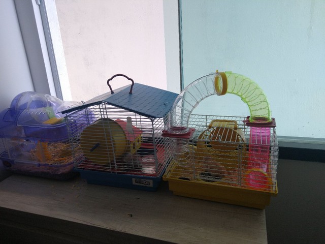 Vendo casas de Hamster LEIA O ANÚNCIO