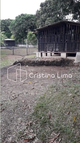 SITIO AUTO SUSTENTÁVEL - SALGADO - Foto 4