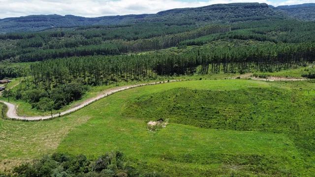 Vende sítio  - Foto 6