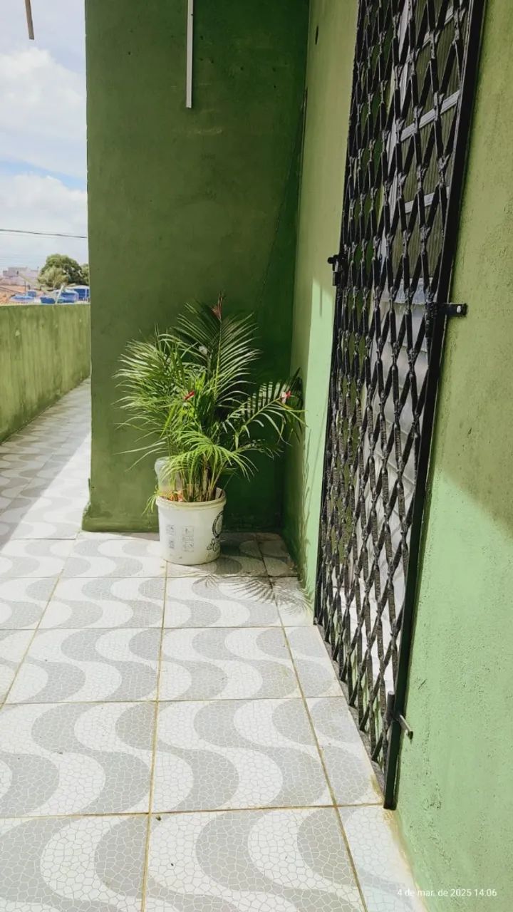 Foto - Paulista - Pau Amarelo