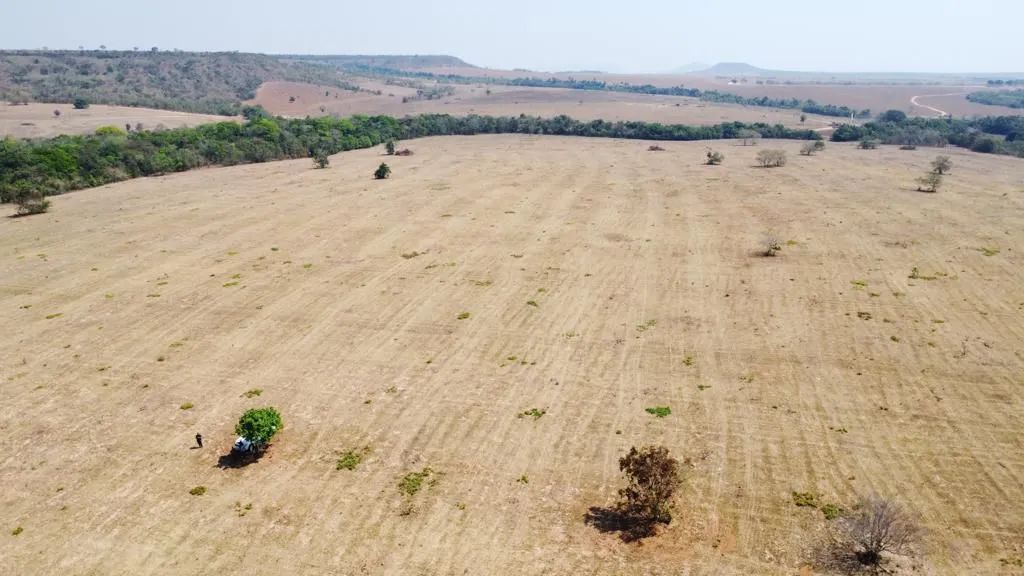 Fazenda de arrendamento 647hec em Paranatinga MT. 