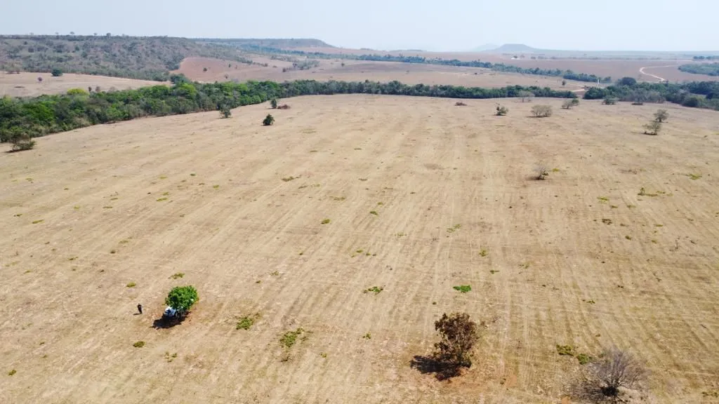 Fazenda de arrendamento 647hec em Paranatinga MT.
