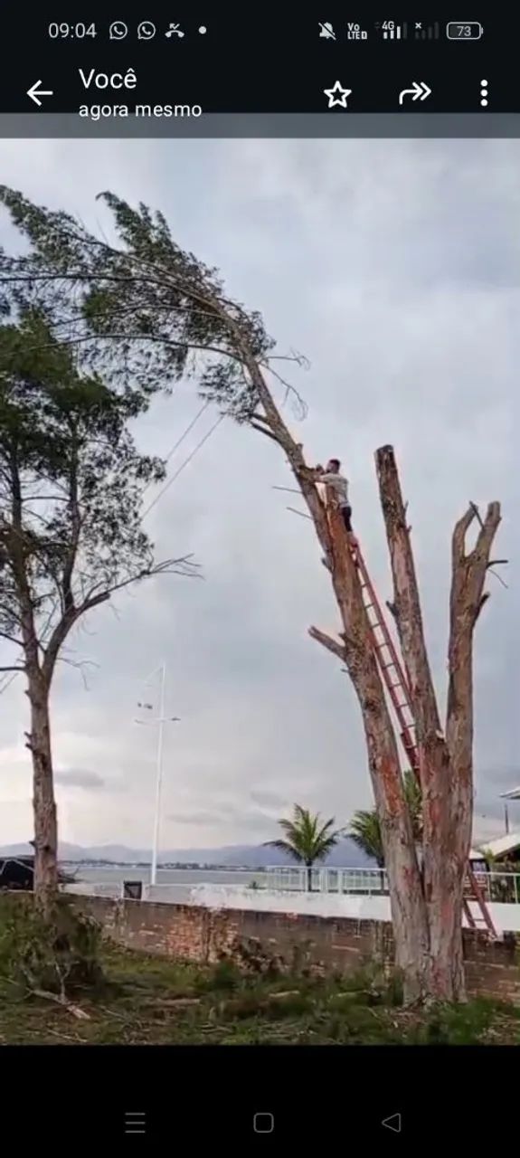 Jardim verde e bem cuidado! - Foto 3