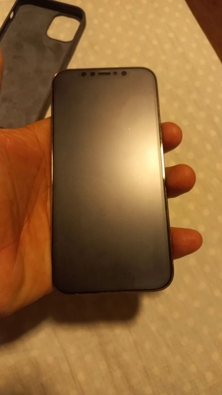 IPHONE 12 PRO