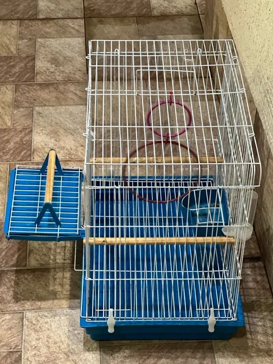 Gaiola para calopsitas  - Foto 2