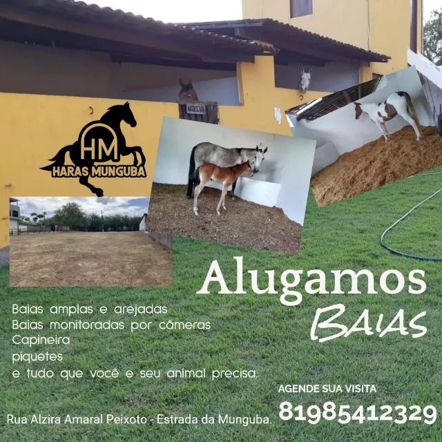 Baia para cavalos