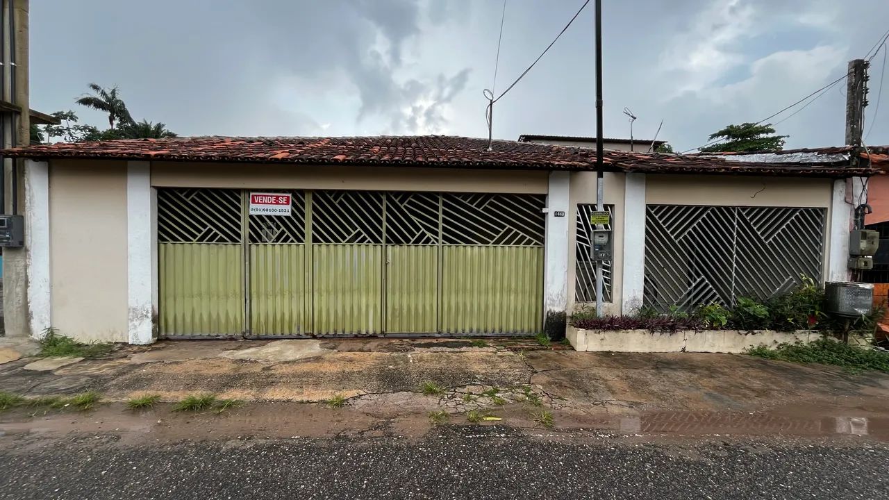 Foto - Ananindeua - Pato Macho