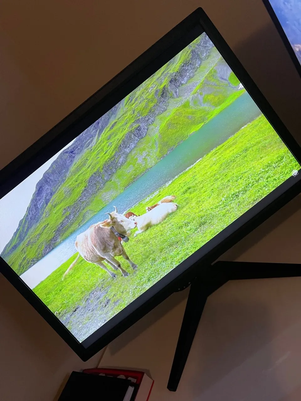 Monitor 19? com imagem de alta qualidade