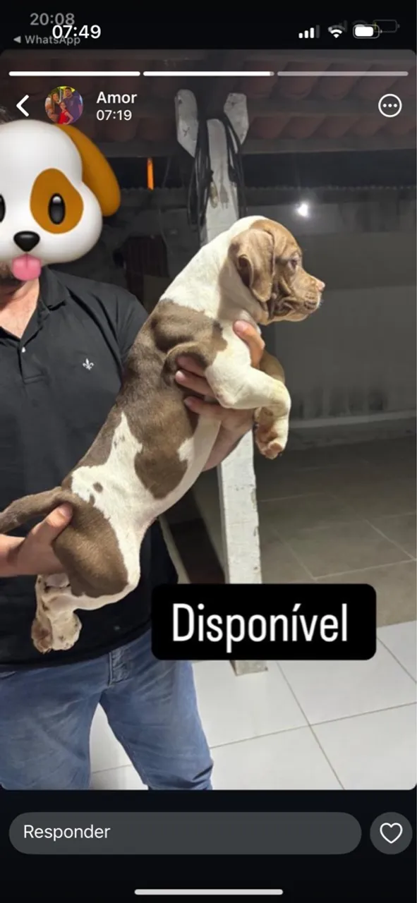 Pitmonster