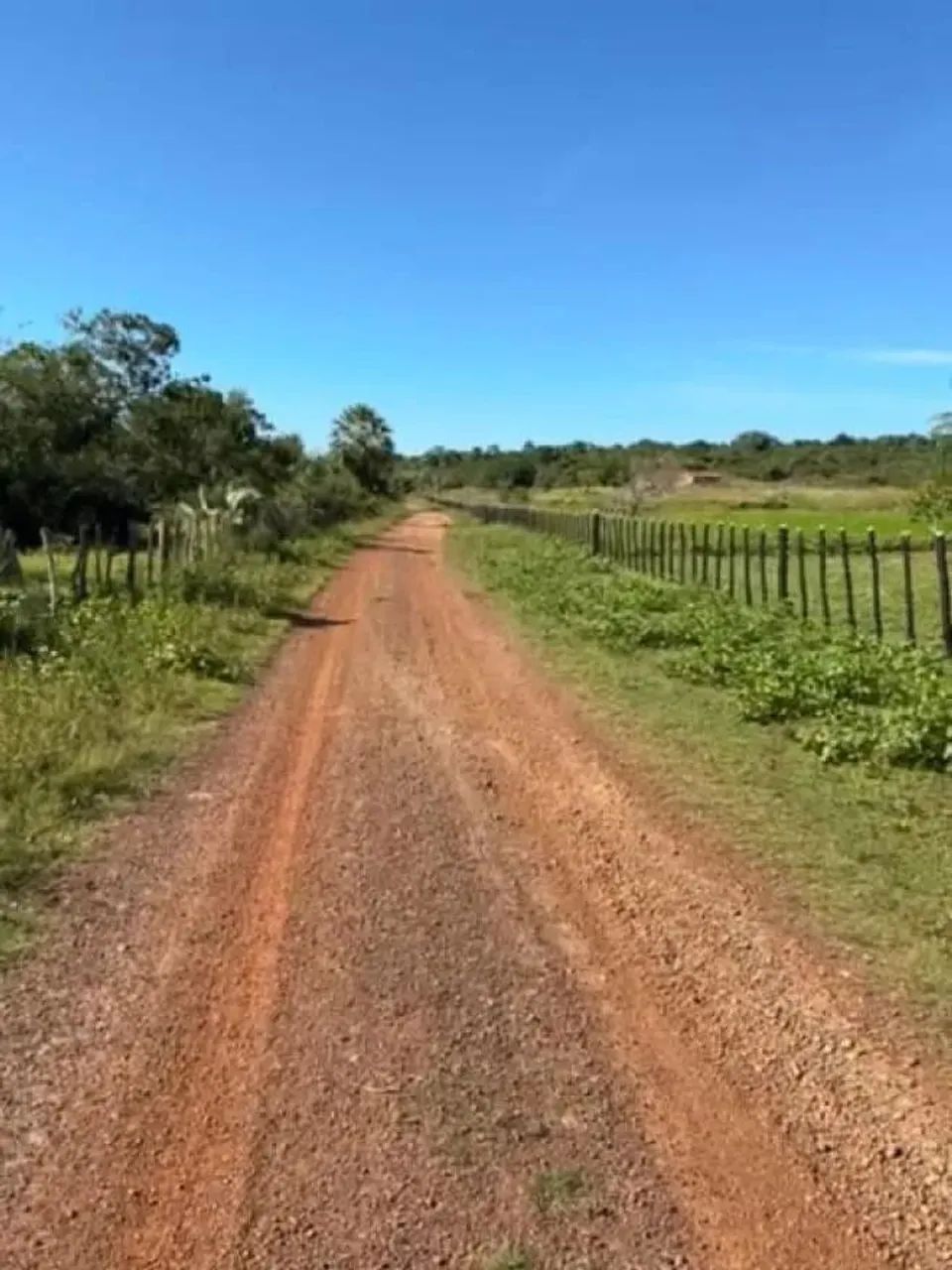 Excelente Terreno a venda em JOSE DE FREITAS - Foto 2