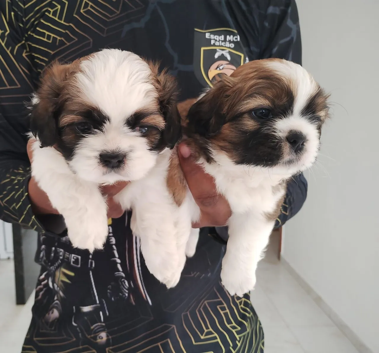 Vendas!