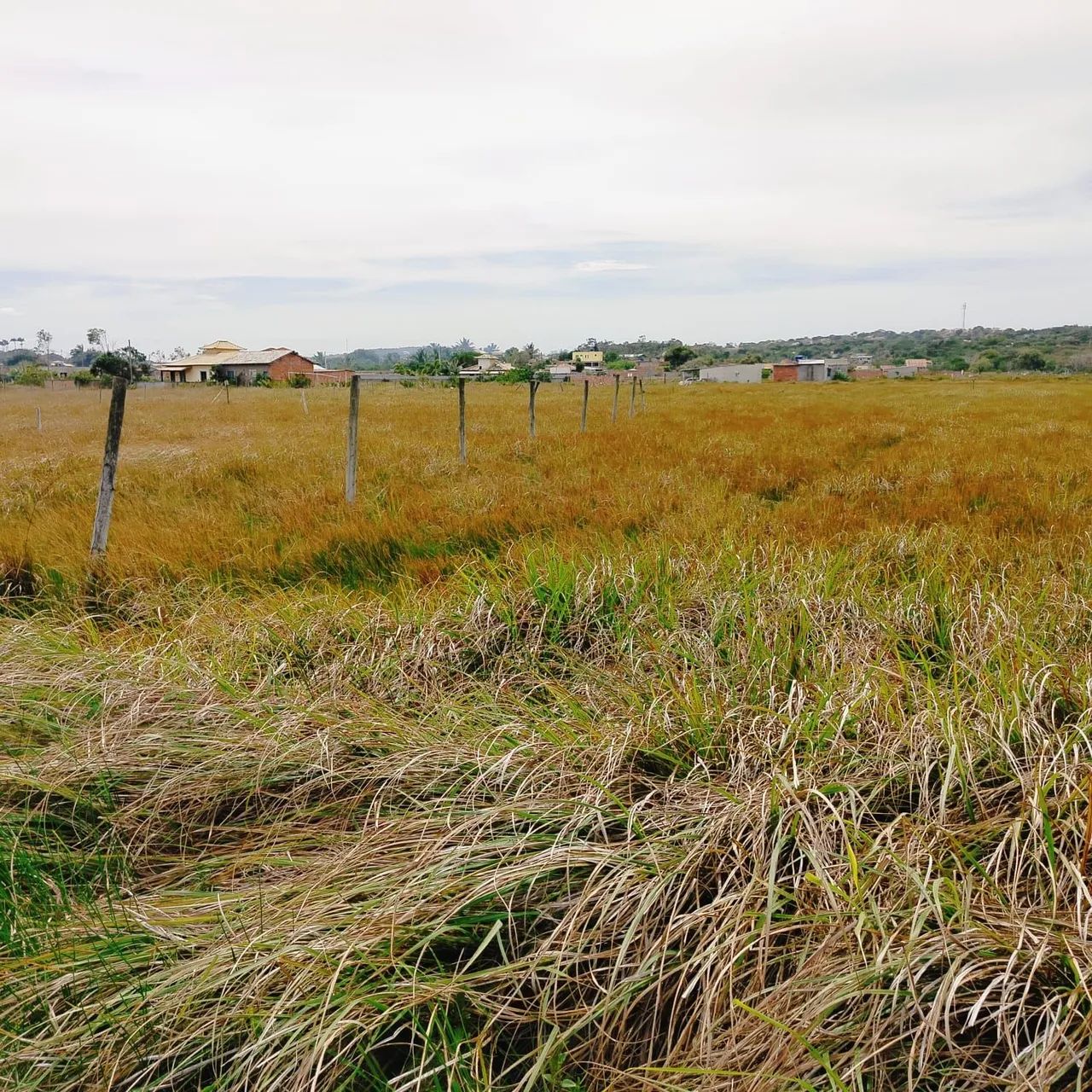 Foto - Armação dos Búzios - João Fernandes