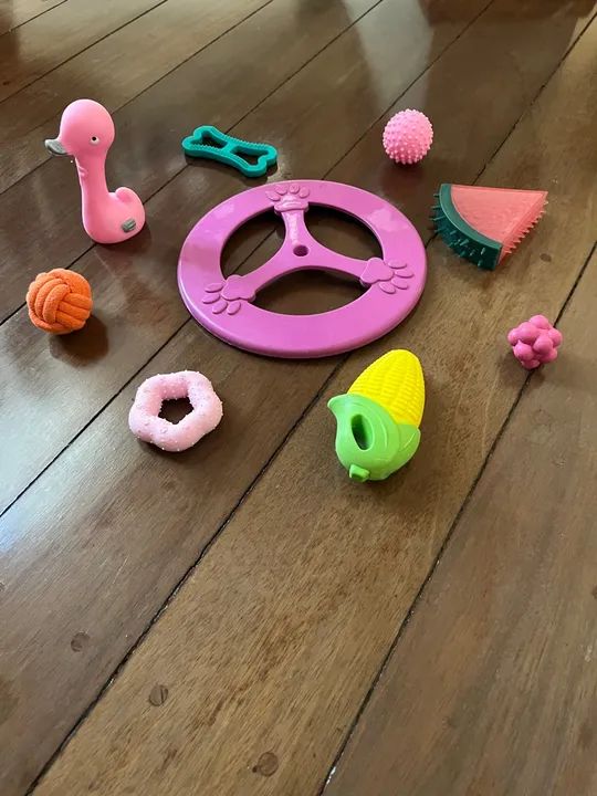 Brinquedos Pet - leve 8 pague 4