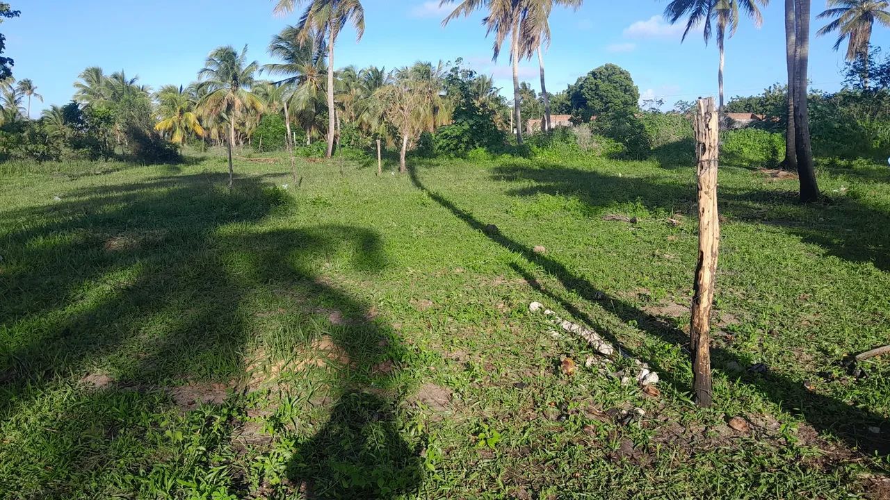 Vende se terreno  - Foto 4