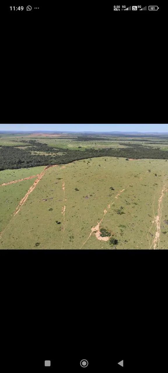 Fazendacde arrendar de 2.200 hec em planalto da serra MT.  - Foto 4