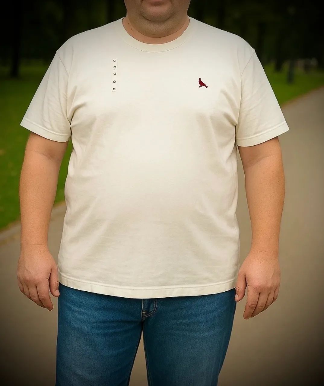 Camisa masculina Plus Size