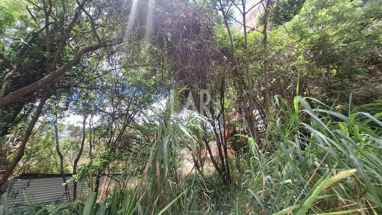 Lote - Terreno à venda, Santa Lúcia - Belo Horizonte/MG - Foto 5