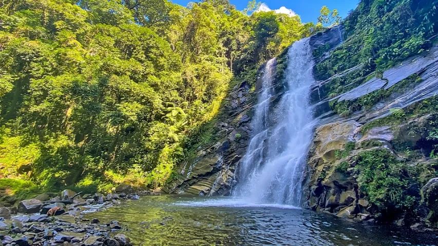 Paraty Espera Por Você - Associe-se Hoje Agricultura Sustentável! - Foto 5