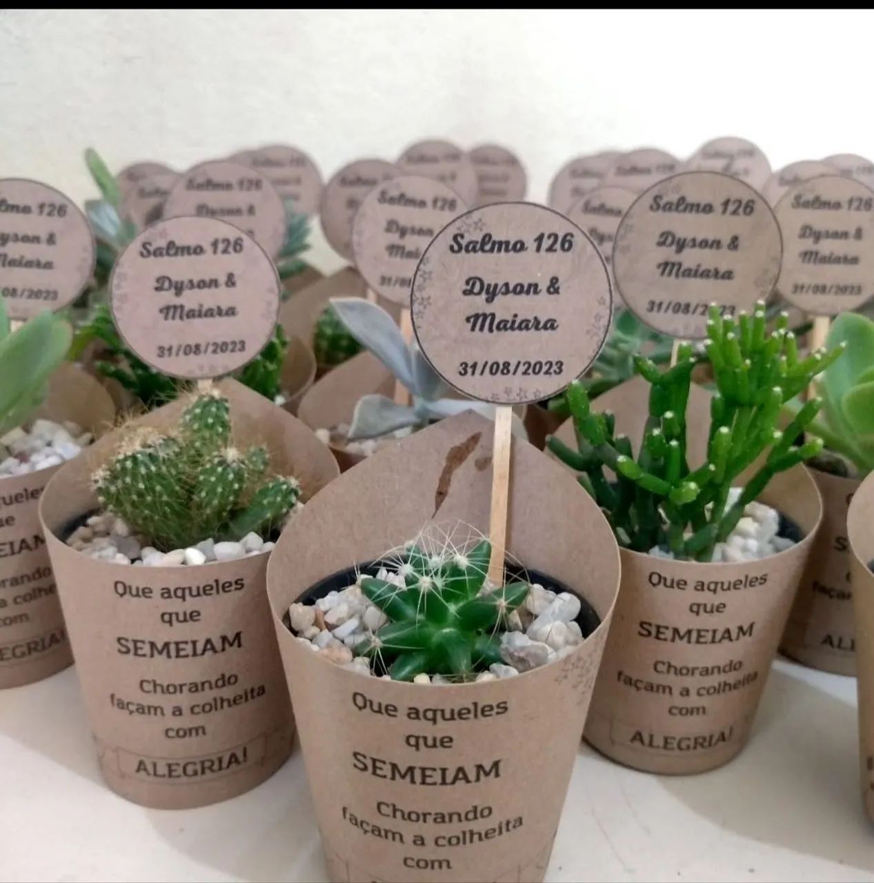 Cactos e suculentas personalizadas - Foto 4