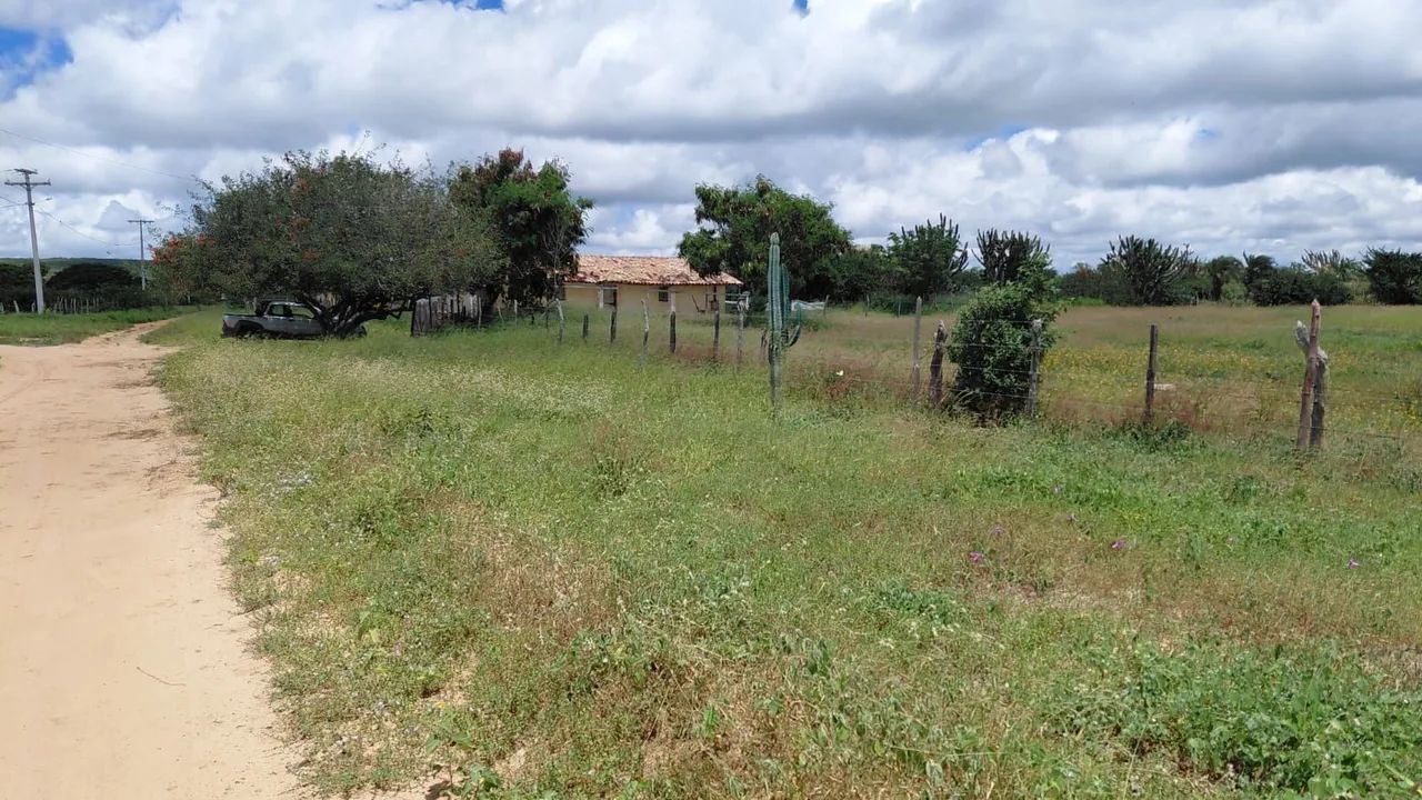 Fazenda em Morro do chapeu - Foto 5