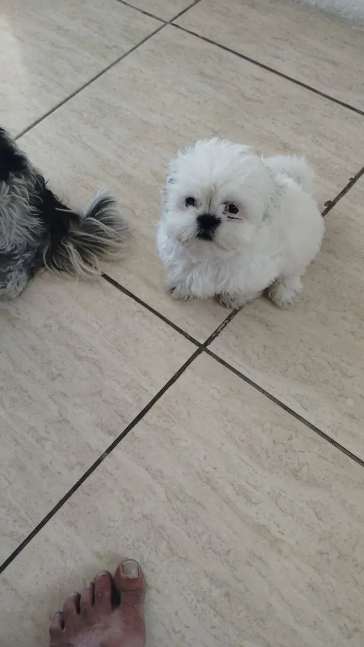 Vendo  - Foto 2