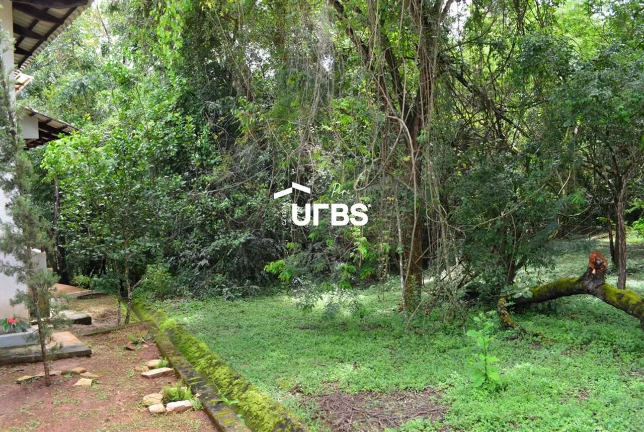 LOTE À VENDA EM PIRENÓPOLIS COM DIVISA PARA A MATA COM 702m² - Foto 5