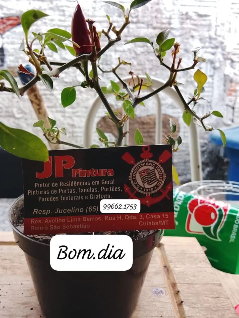 Pintor de residência em geral  - Foto 2