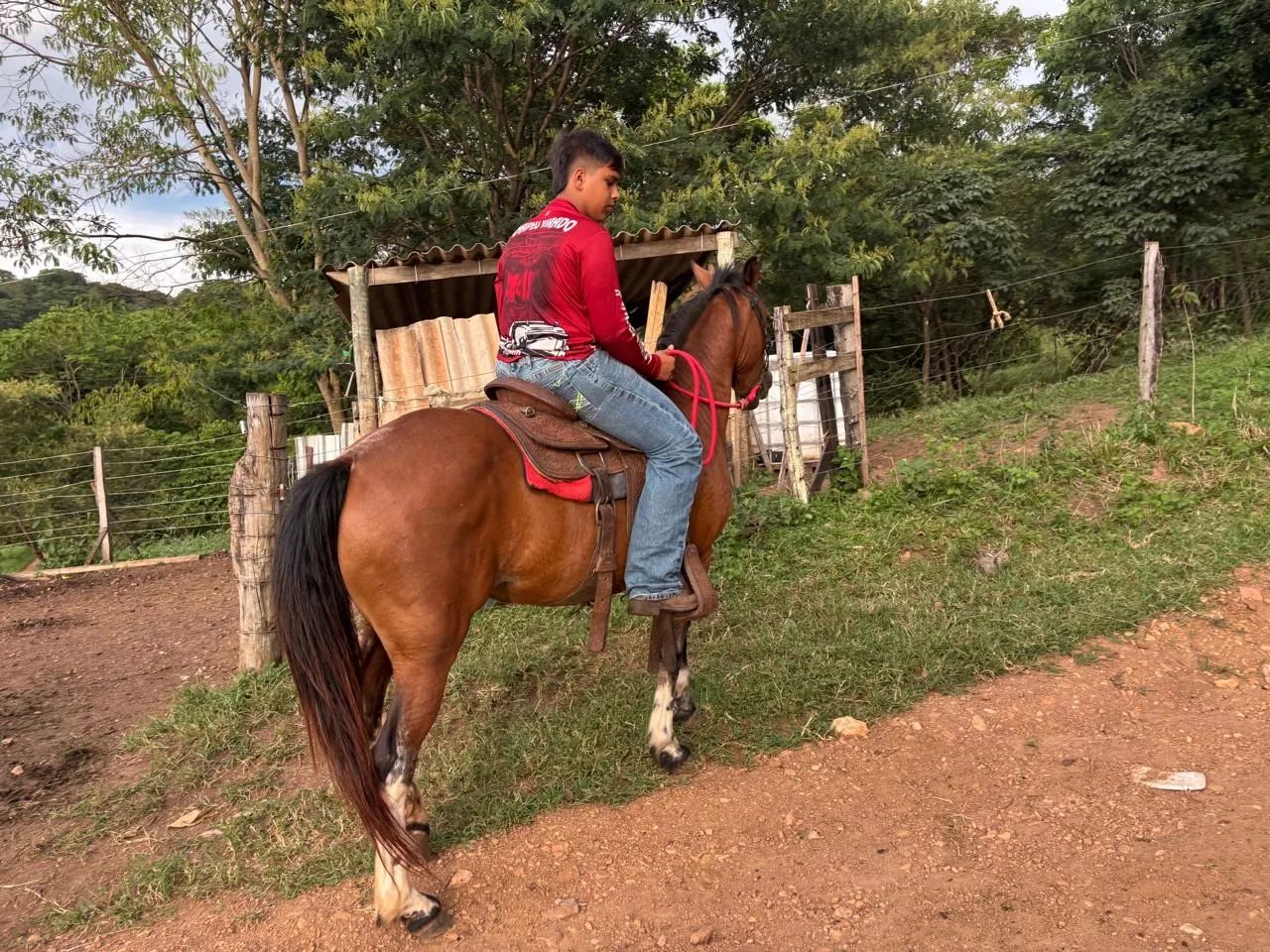 Égua  - Foto 3