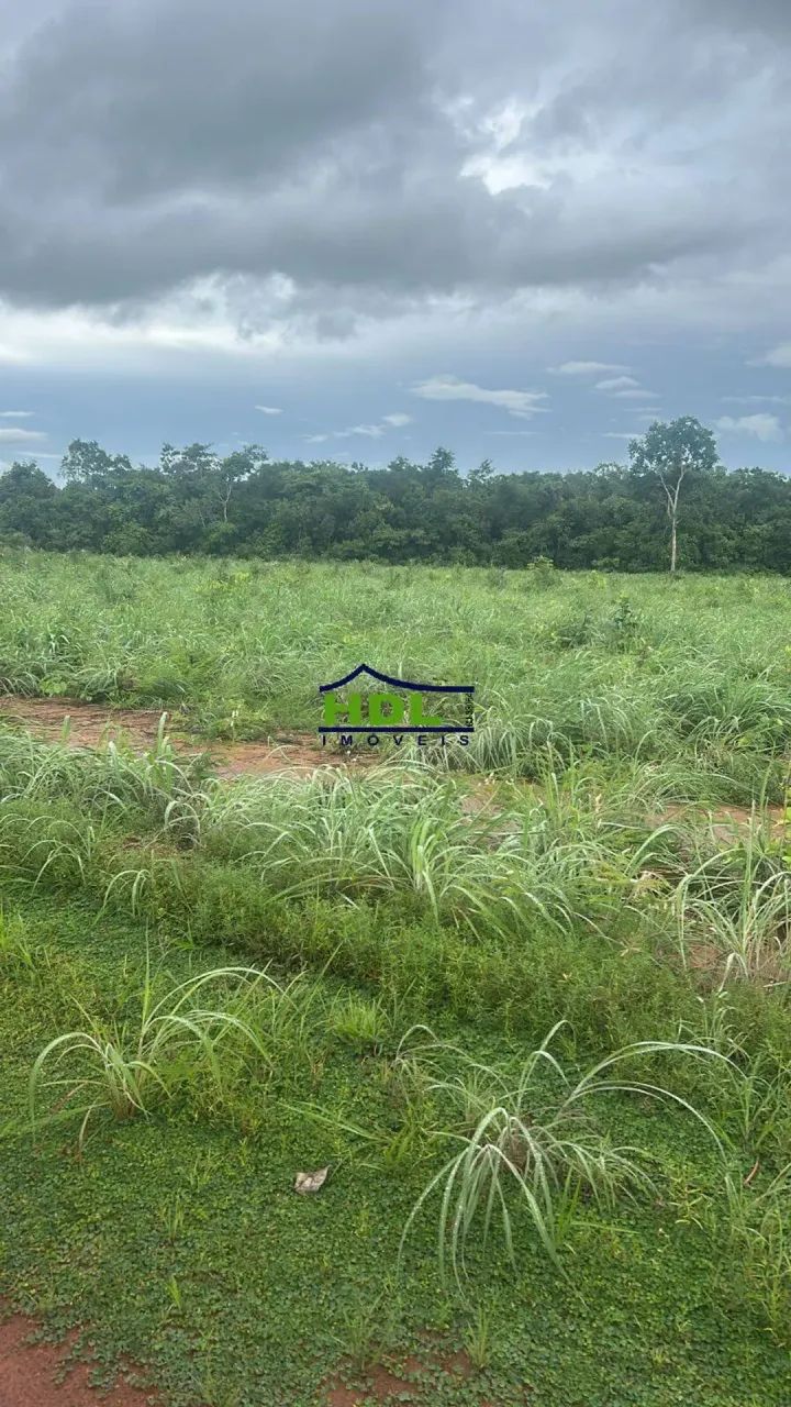 Fazenda Dupla aptidão a 40 km de Alvorada/TO - Foto 4