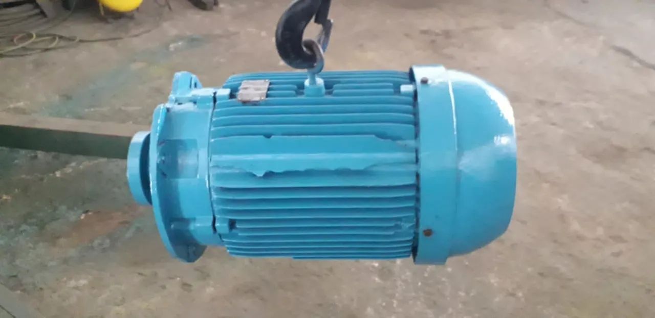 Motor Weg 60cv - Foto 4