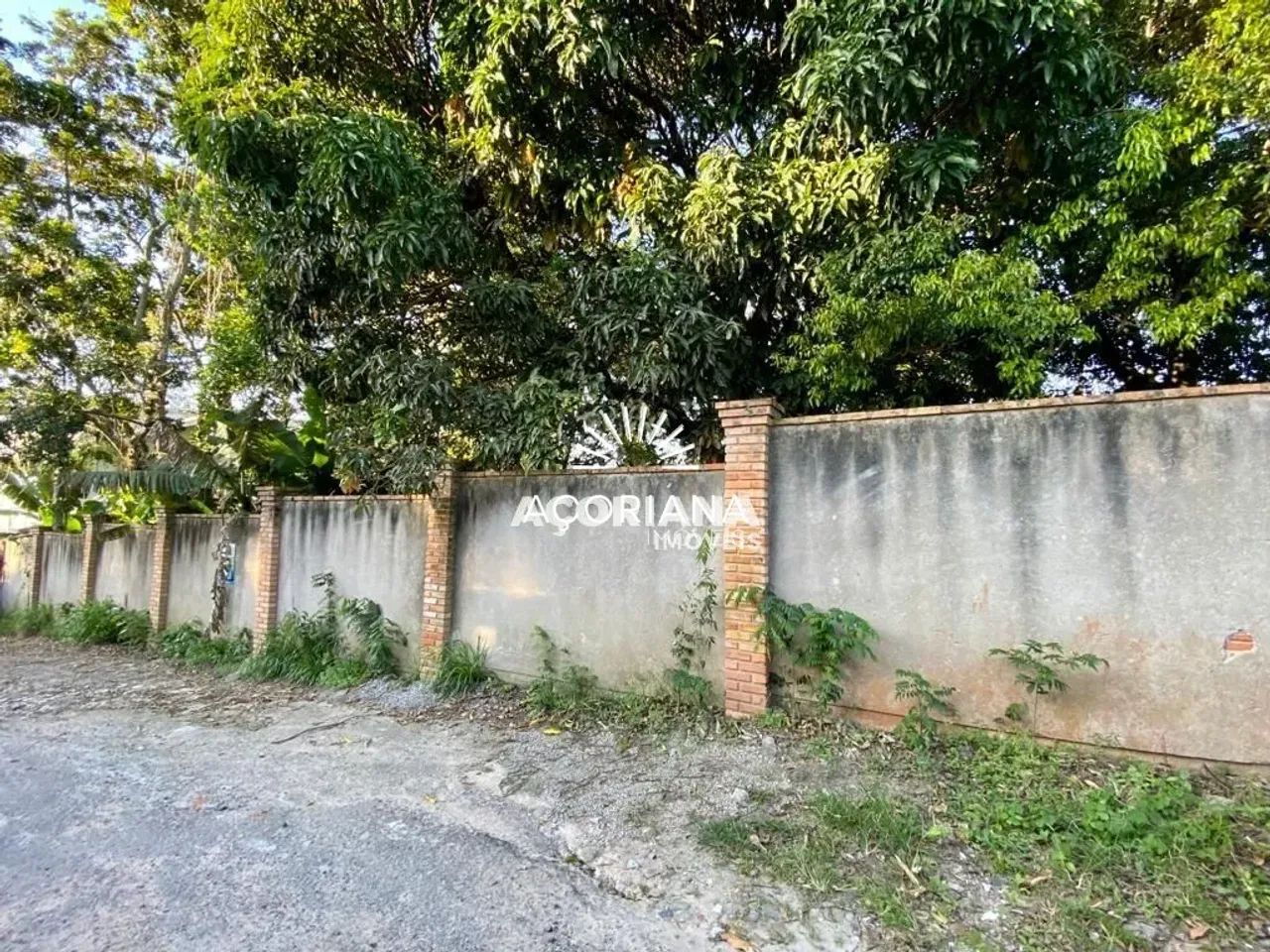 Oportunidade no Rio Tavares - Terreno a Venda - Foto 4