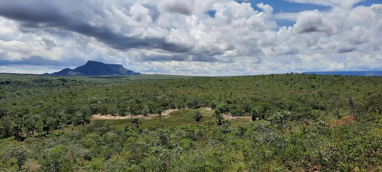 Oportunidade Posse documentada de 1.296,90 hectares  - Foto 2