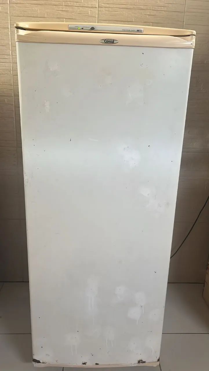 Freezer Vertical 