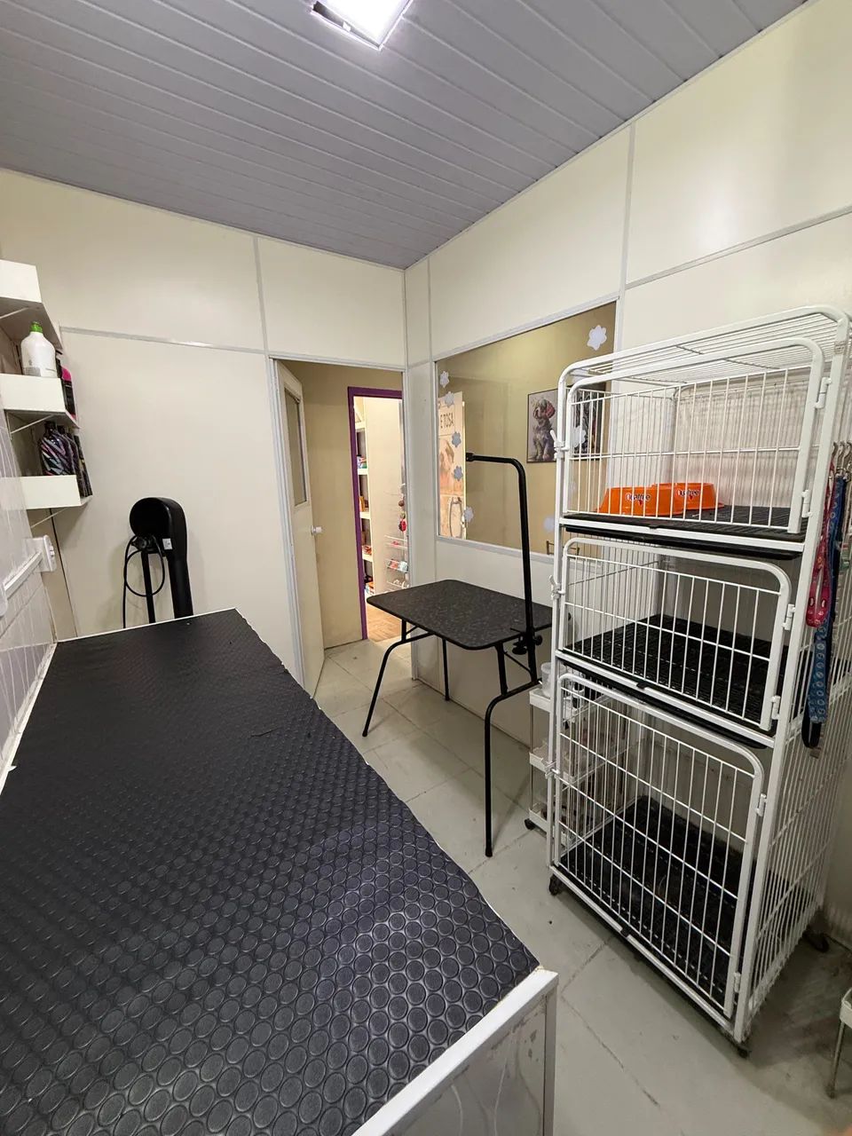 Passo ponto Petshop São Gonçalo Mutondo  - Foto 3