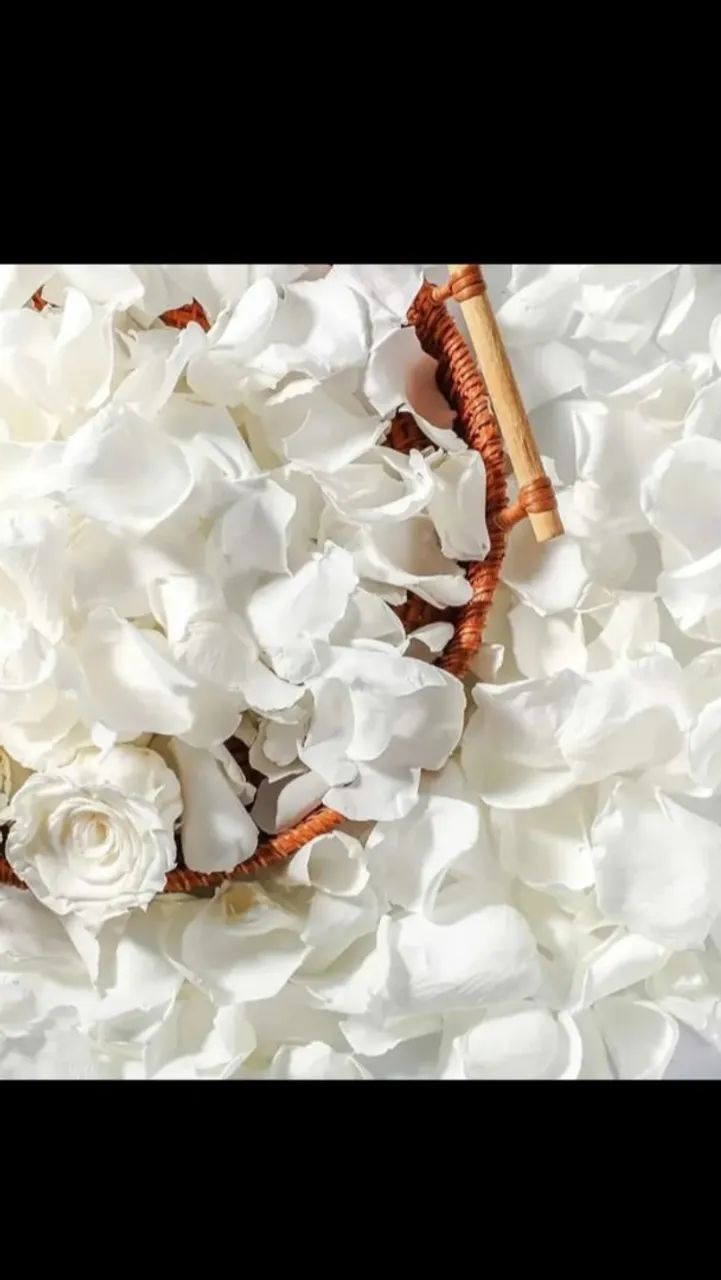 PETELAS BRANCAS PARA CASAMENTO  - Foto 4