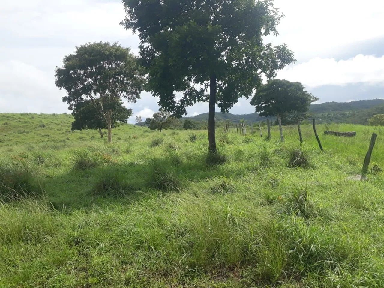 Fazenda a Venda Aparecida do Rio Negro - Foto 2