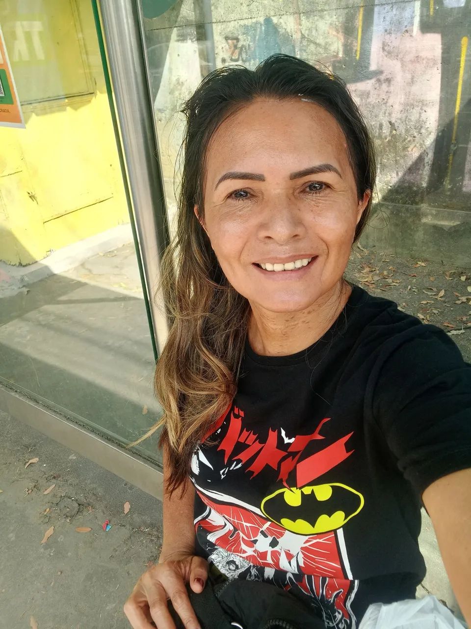 Diarista 