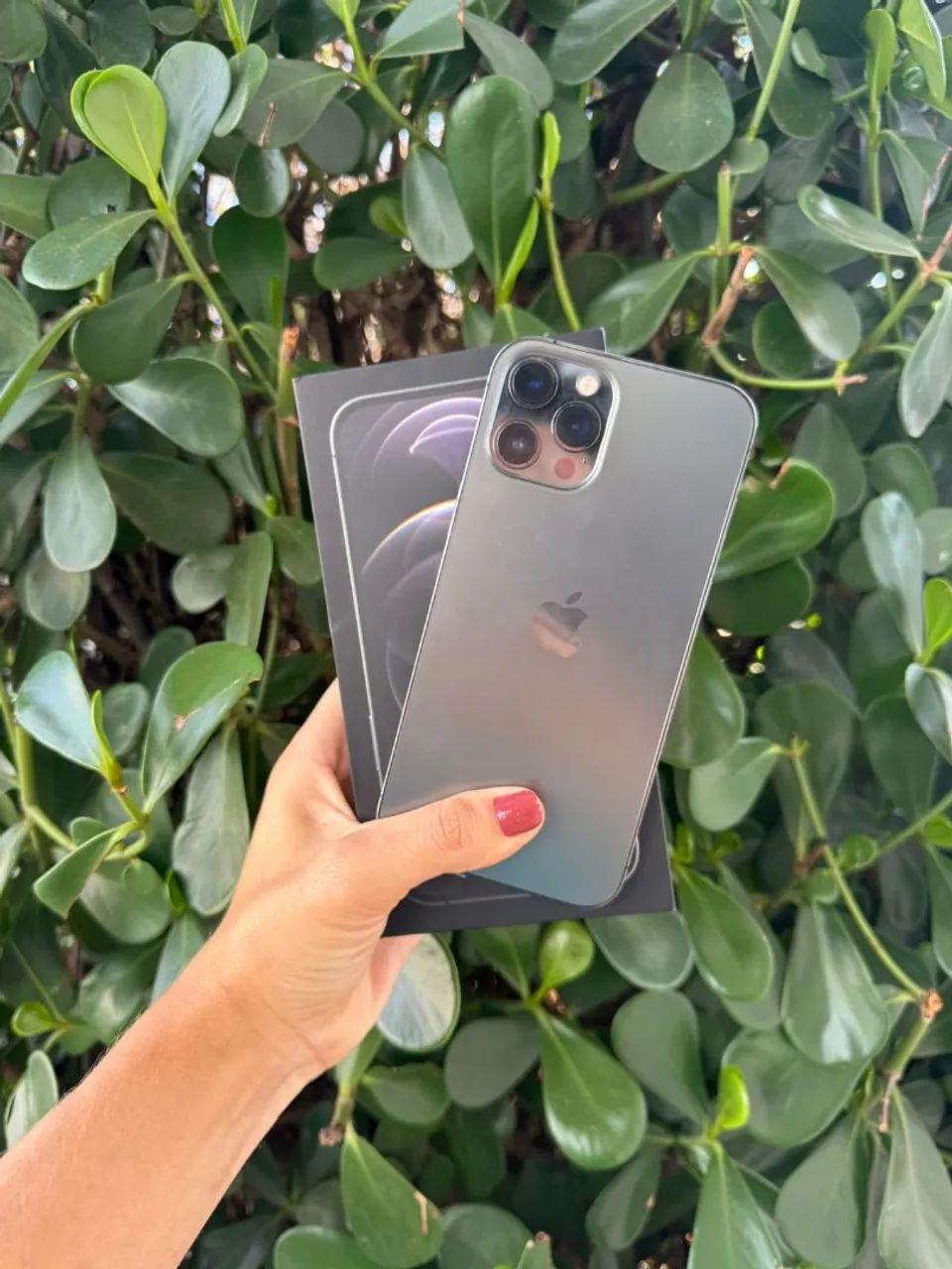 IPHONE 12 PRO MAX 256GB TODO ORIGINAL ESTADO DE NOVO - Celulares e