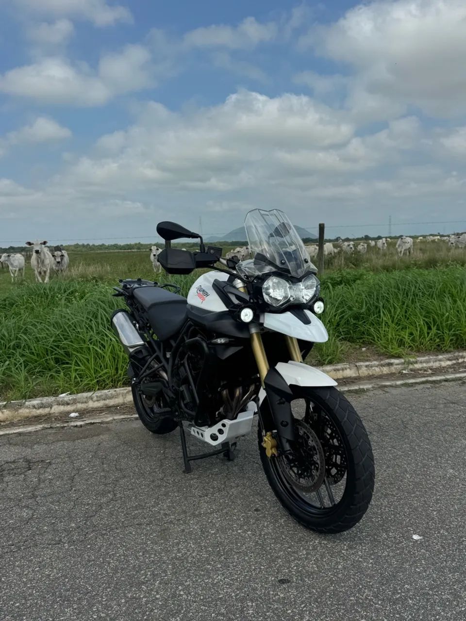 Tiger 800