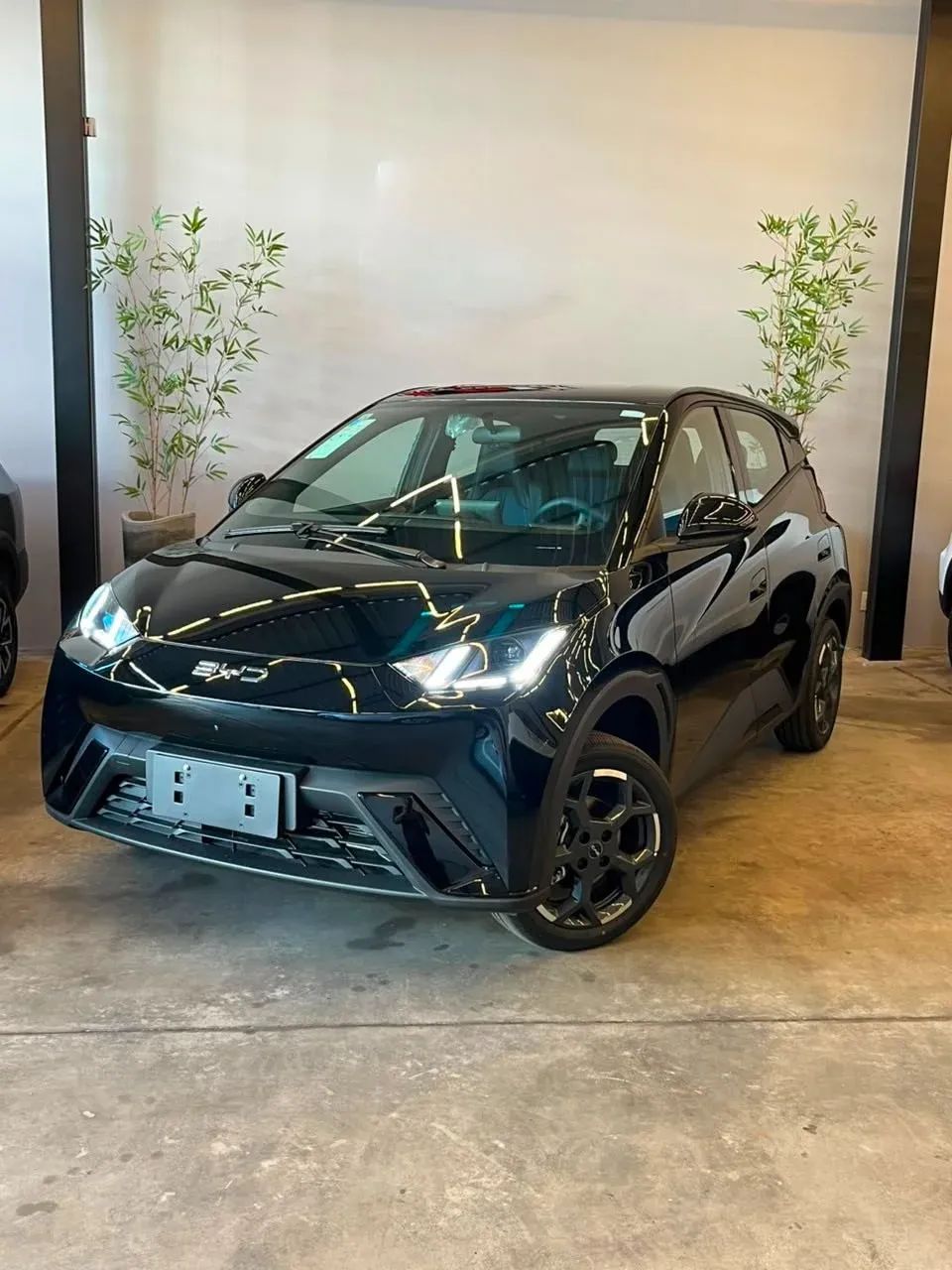 BYD Dolphin GS (Elétrico) 2027 - Foto 2