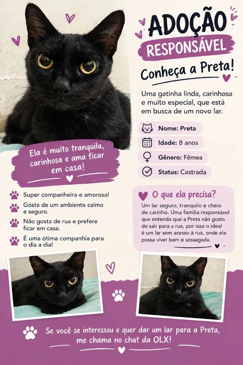 Adoção responsável 