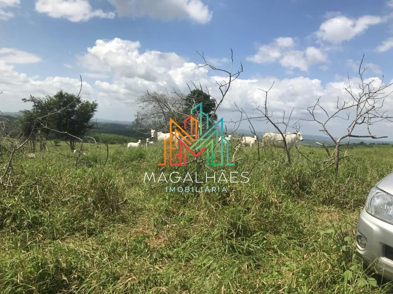 Fazenda à venda em Passira/PE - Foto 3