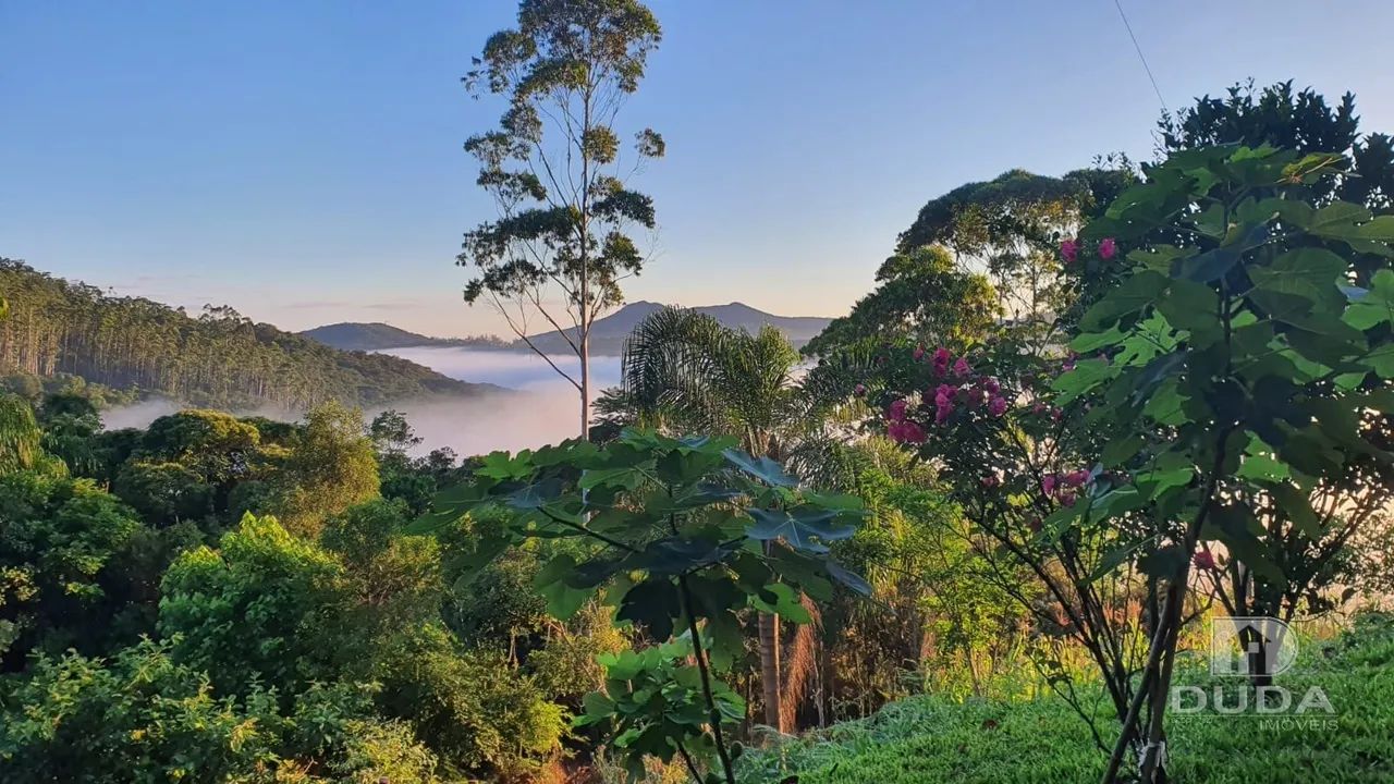 Sitio 2.500m² FAZENDINHA / BIGUAÇU - Foto 3