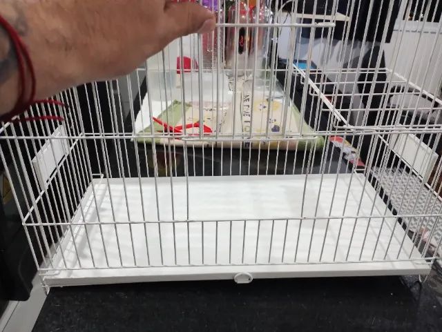 Gaiola para Aves - Ótimo Estado - Foto 2