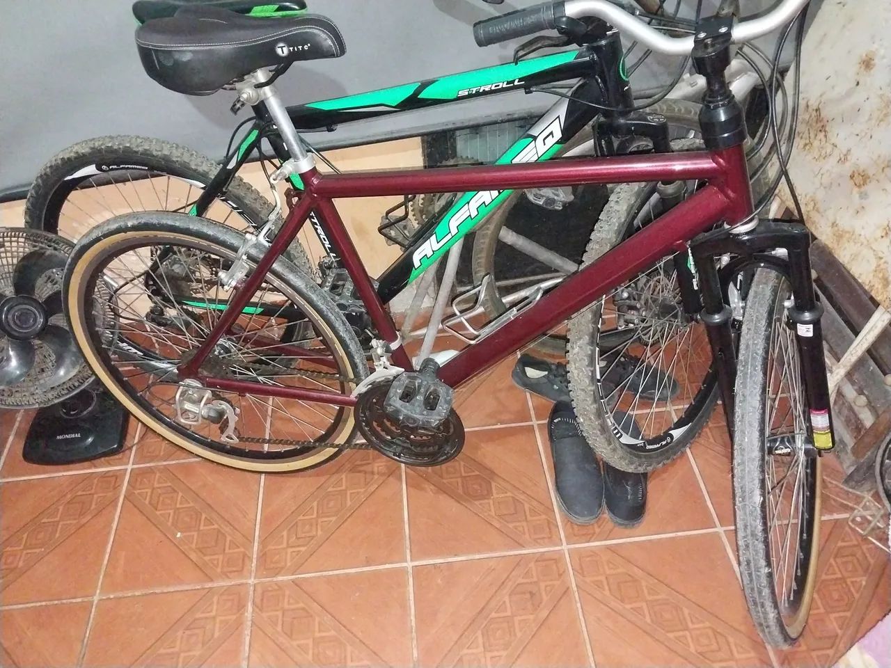 Bicicleta 