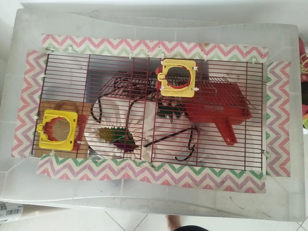 Caixa adaptada para hamster434735551957575681